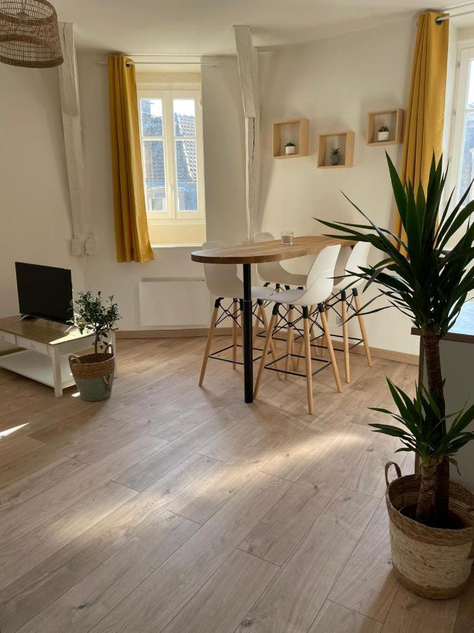 Le Velo Bleu Apartment Troyes Exterior photo