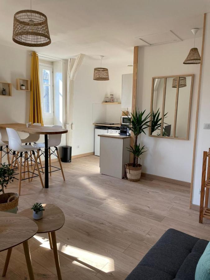 Le Velo Bleu Apartment Troyes Exterior photo